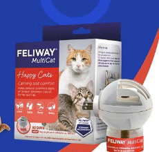 Feliway Optimum