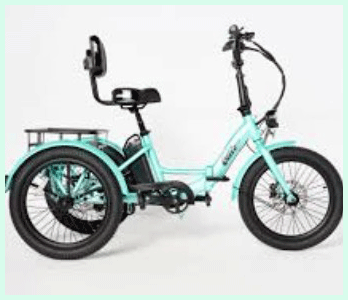 Ollie Leo Electric Trike