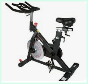 Sunny Stationary Bike