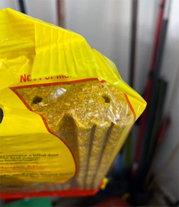 Just One Bite Rat Poison