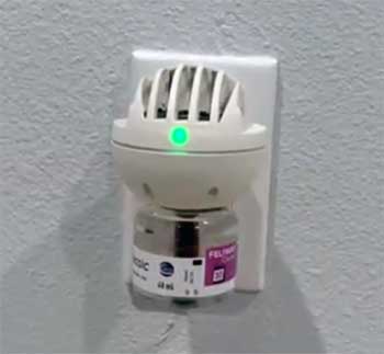 Feliway (Classic & Optimum)