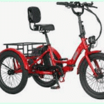 Ollie Leo Electric Trike