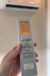 Blue Ridge Mini Split