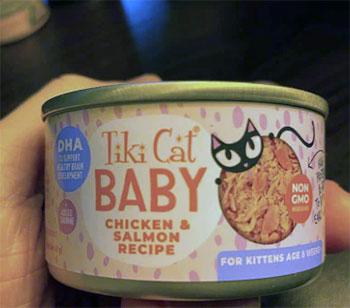 Tiki Cat Wet Food