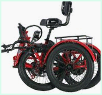 Ollie Leo Electric Trike