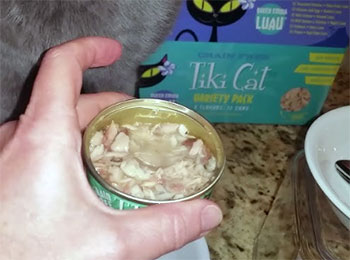 Tiki Cat Wet Food