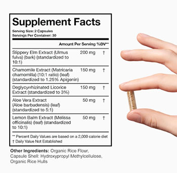 Terra Health Acid Relief