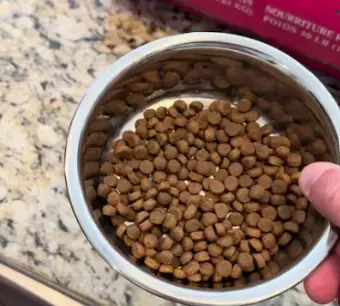 Fromm Vs Royal Canin Dog Food