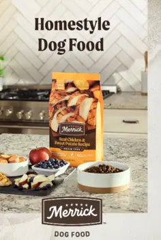 Merrick Dog Food
