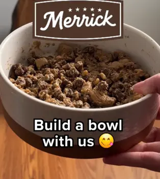 Merrick Dog Food
