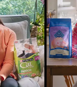 Blue Buffalo Vs Purina Pro Plan Cat Food