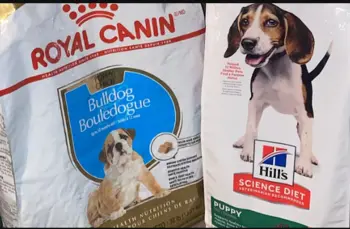 Hill's Science Diet Vs Royal Canin