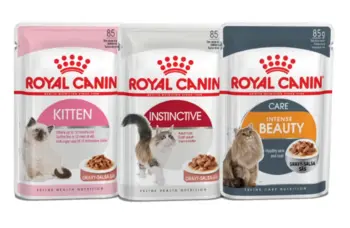 Hill's Science Diet Vs Royal Canin