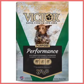 Victor Vs Diamond Dog Food