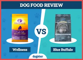 Blue Buffalo Vs Wellness